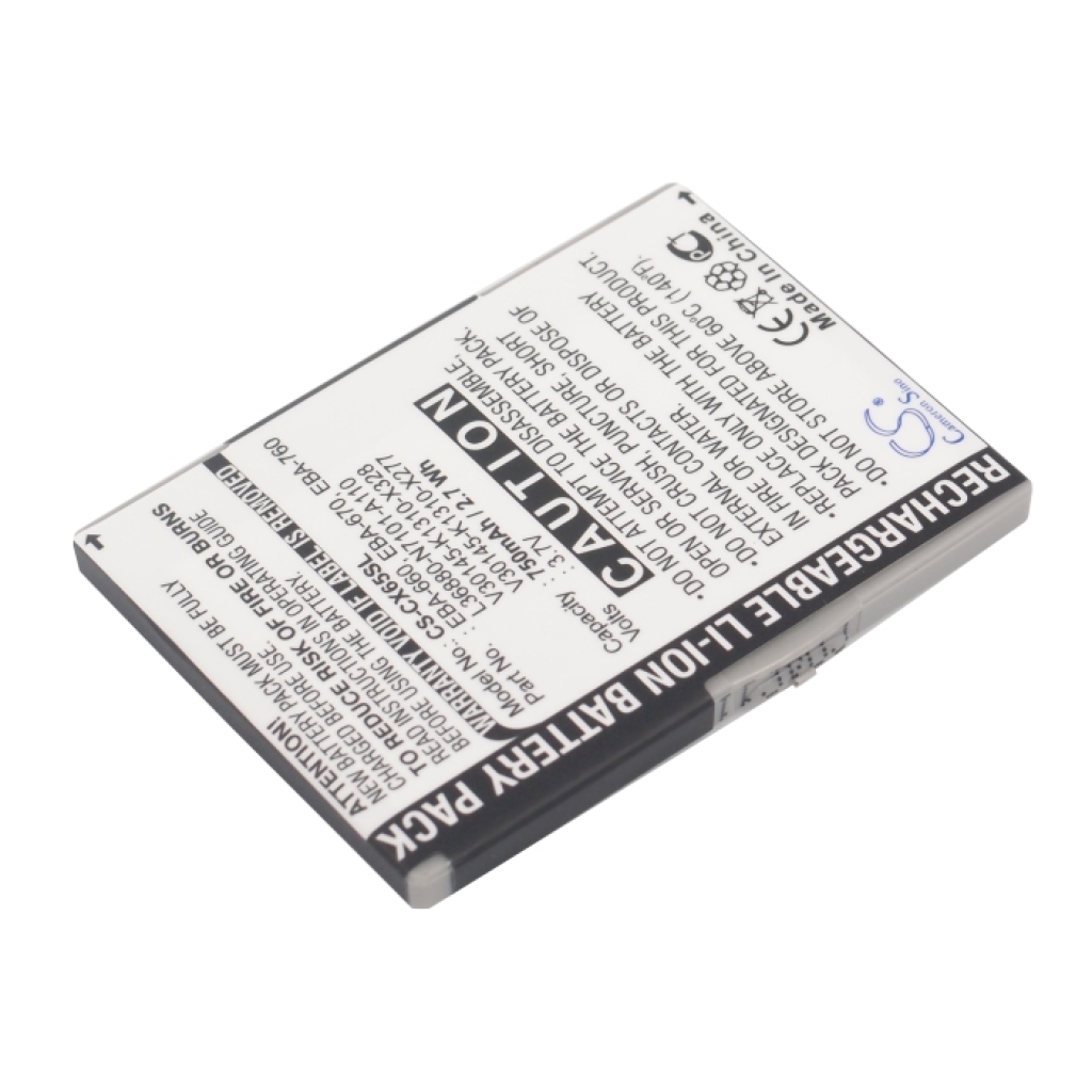 Batteries Remplace V30145-K1310-X321