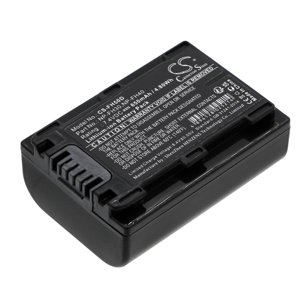 Batterie de l'appareil photo Sony HDR-SR10E