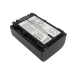 Batterie de l'appareil photo Sony HDR-CX110B