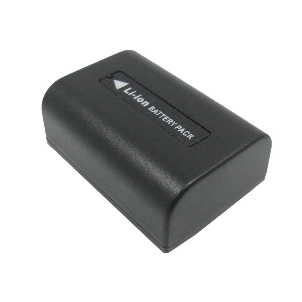 Batterie de l'appareil photo Sony HDR-SR11