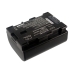 Camera Battery JVC GZ-HM690