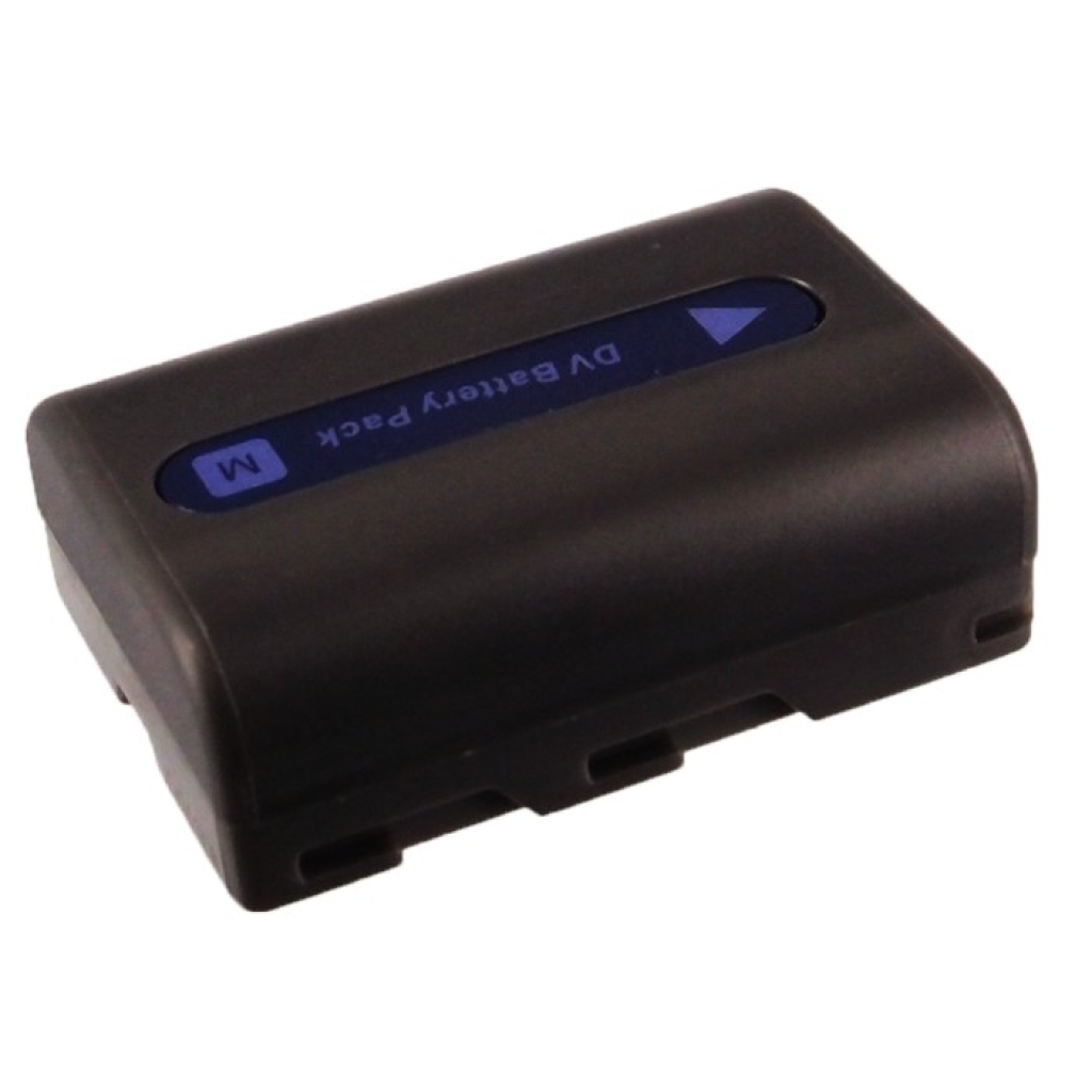 Camera Battery Leaf CS-SBL110