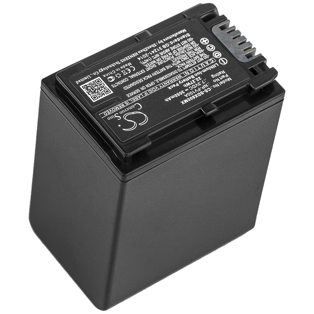 Batteries Remplace NP-FV100A